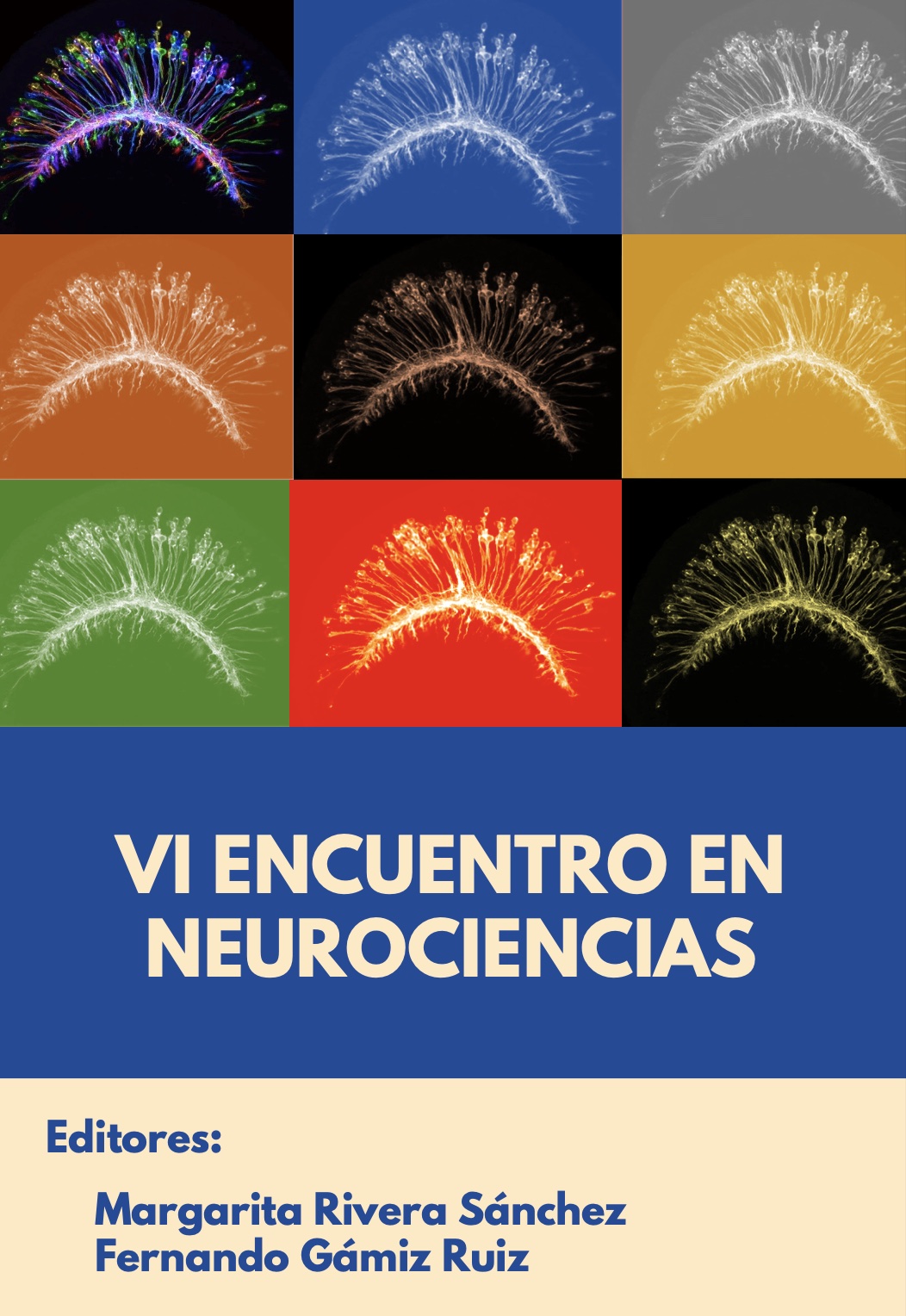 Carátula Volumen VI Encuentros en Neurociencias