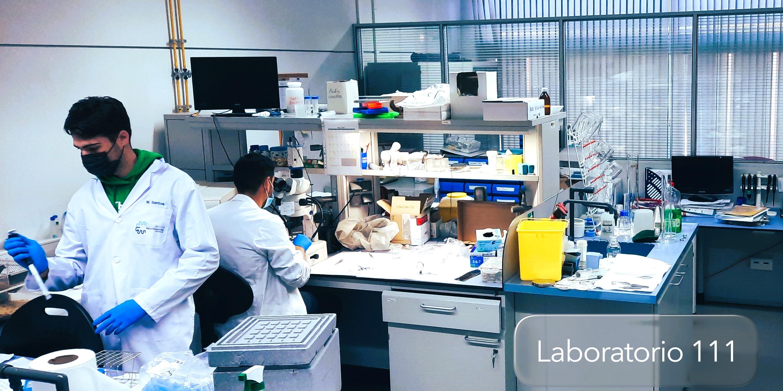 Lab 111