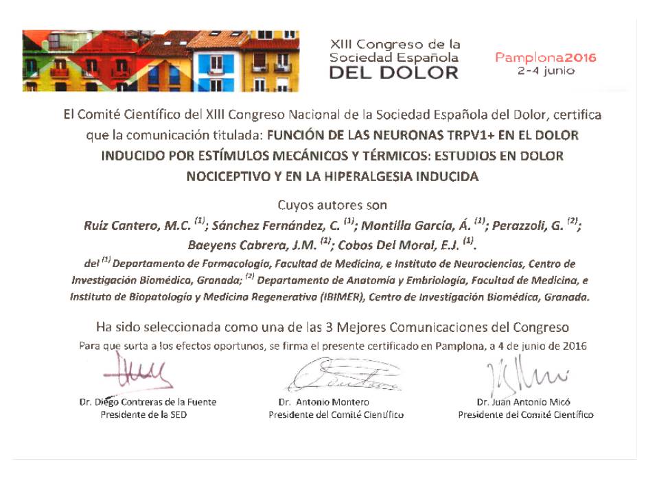 Diploma acreditativo