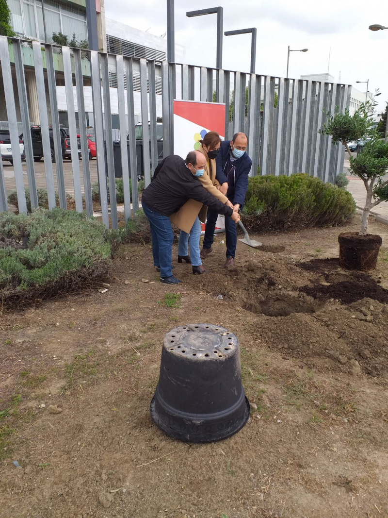 representación del instituto plantando un árbol Instituto de Neurociencias en el acto de plantar un árbol