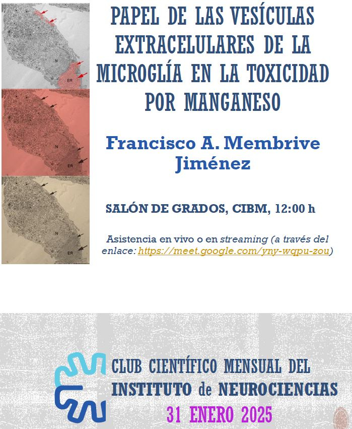 Seminario Enero 2025